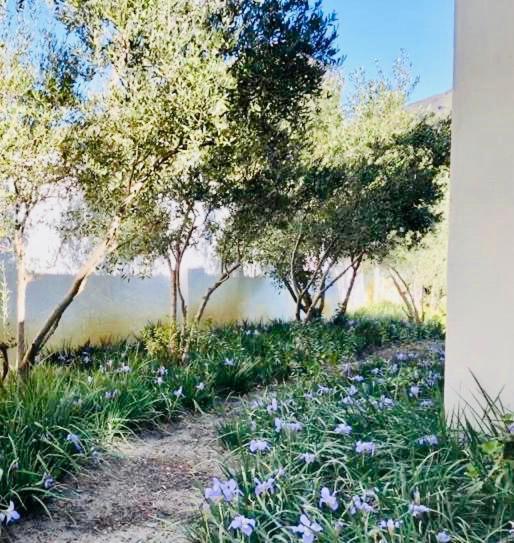 Gooding'S Olive Villa Franschhoek Luaran gambar